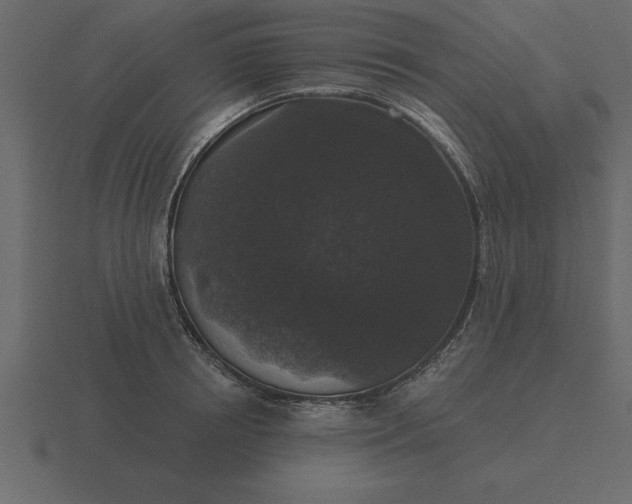 X0000116610850200912241732