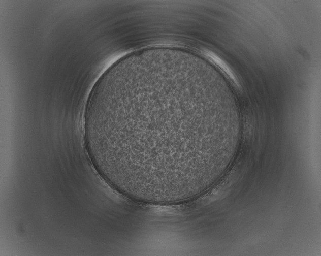 X0000116610852200912241732