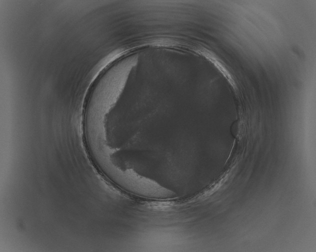 X0000116610853200912241732