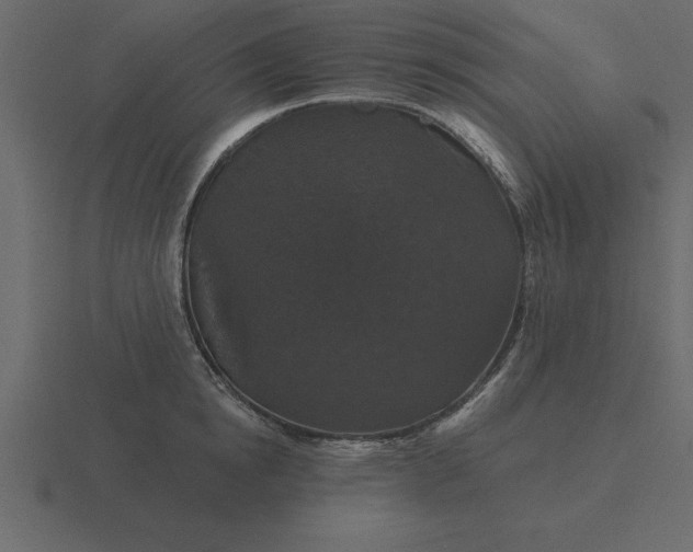 X0000116610854200912241732