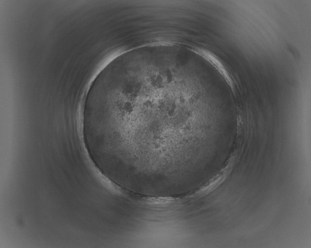 X0000116610859200912241732