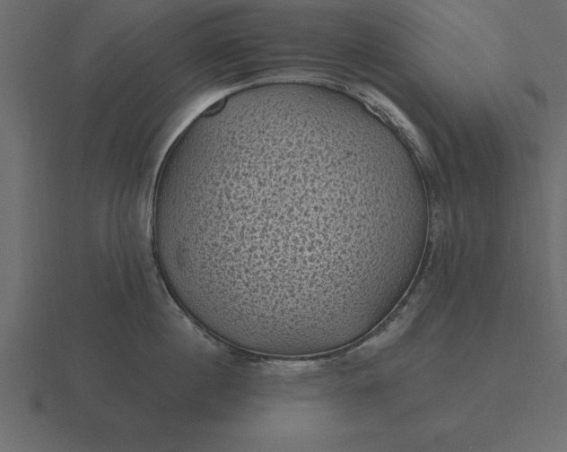 X0000116610860200912241732