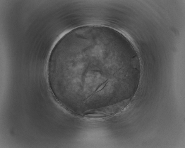 X0000116610864200912241732