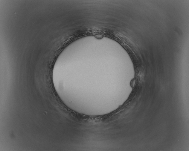 X0000116610865200912241731