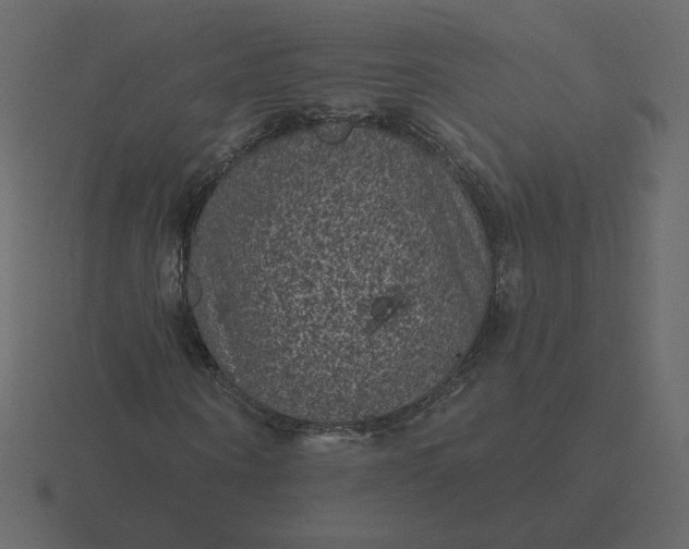 X0000116610866200912241731