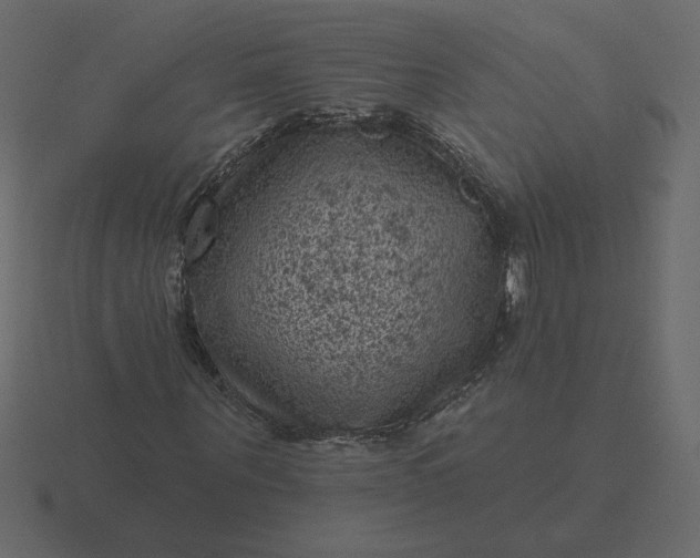 X0000116610867200912241731