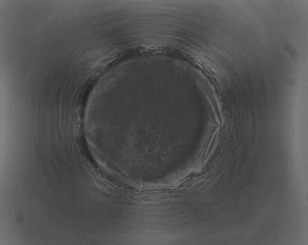 X0000116610868200912241731