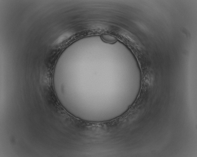 X0000116610869200912241731