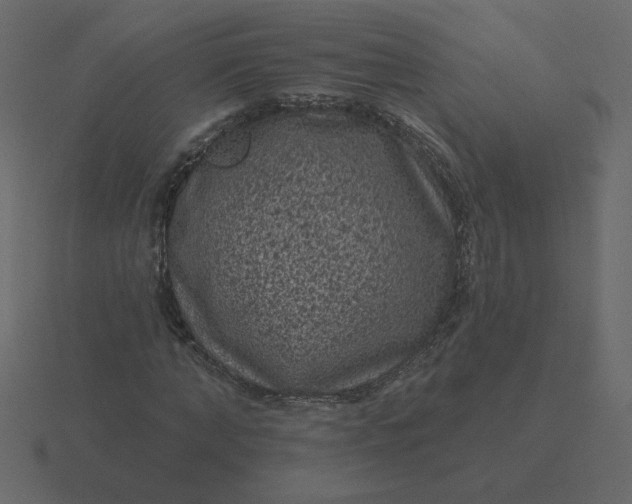 X0000116610870200912241731