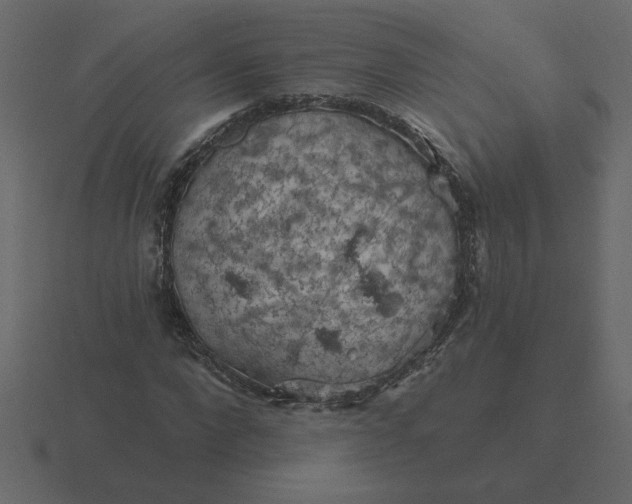 X0000116610872200912241731