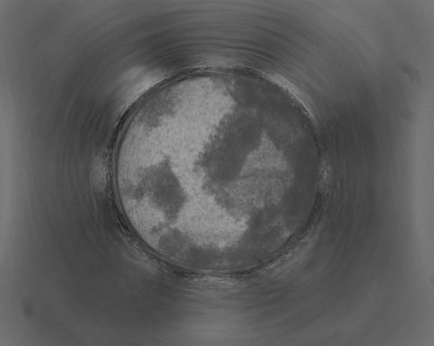 X0000116610874200912241731