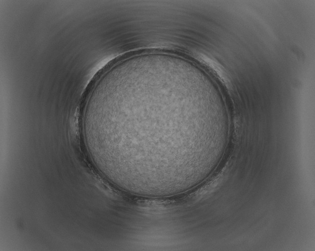 X0000116610875200912241731