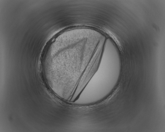 X0000116610876200912241731