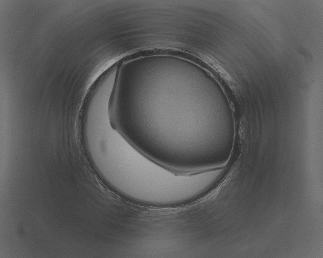 X0000116610877200912241731