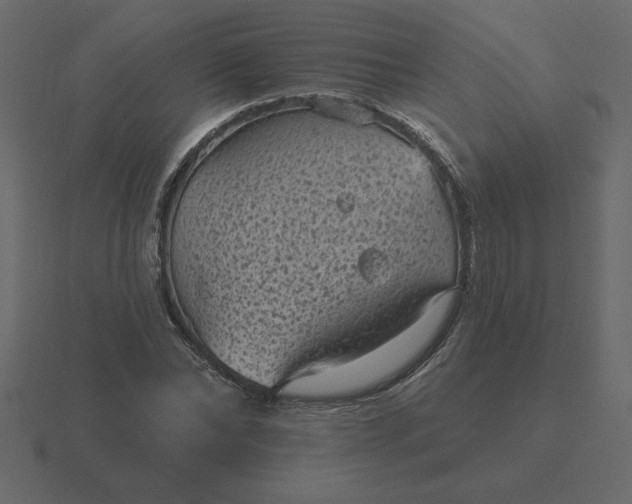 X0000116610878200912241731