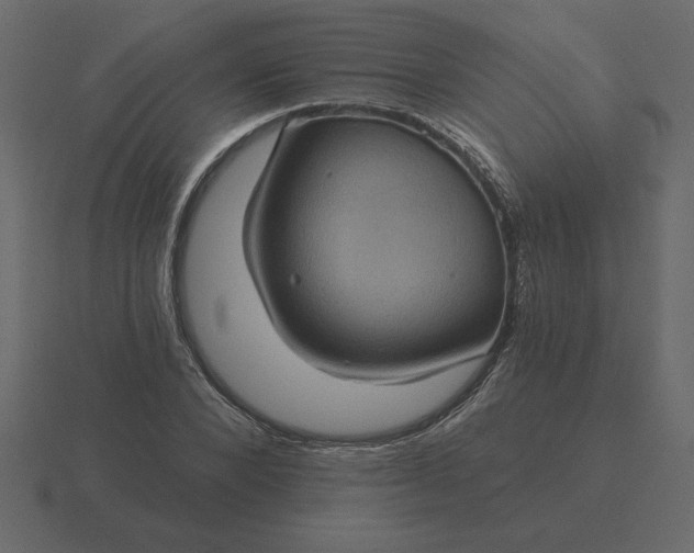 X0000116610880200912241731