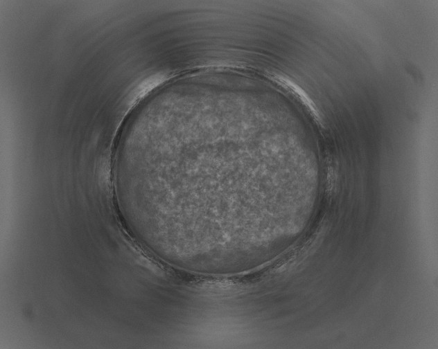 X0000116610882200912241731