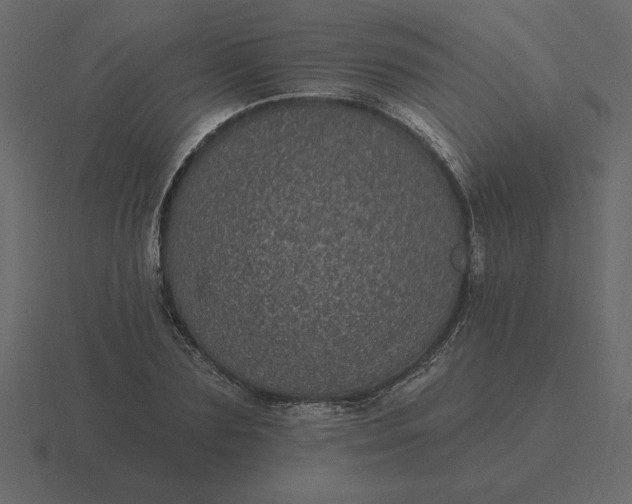 X0000116610883200912241731