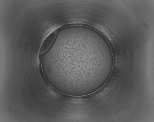 X0000116610885200912241731