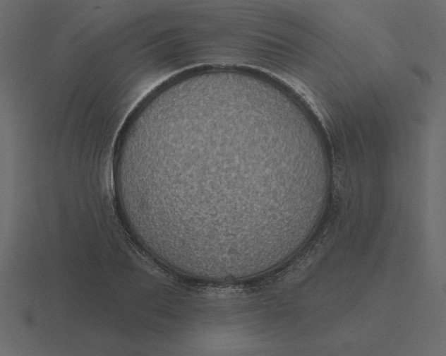 X0000116610887200912241731