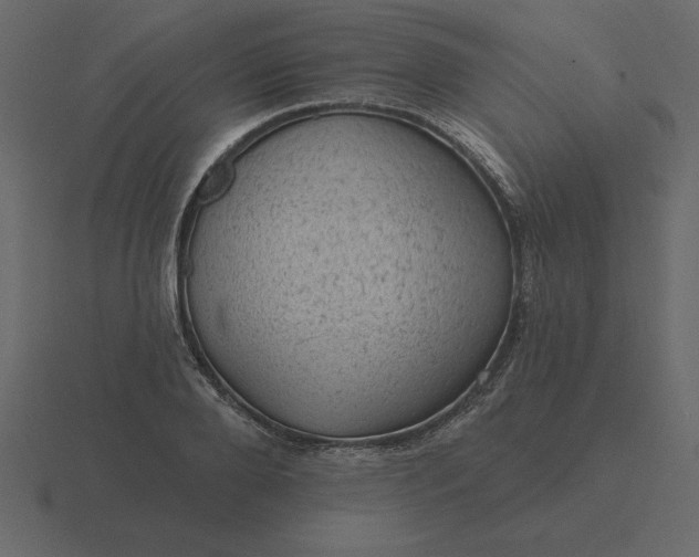 X0000116610888200912241731