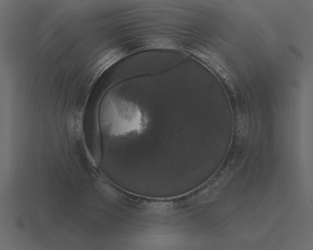 X0000116610889200912241731