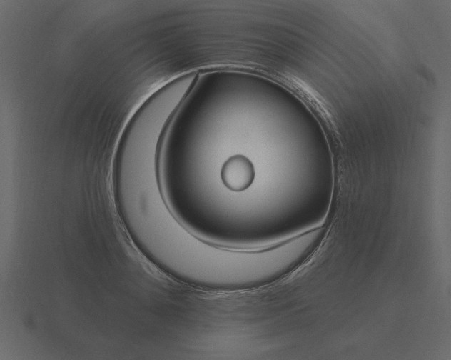 X0000116610892200912241731