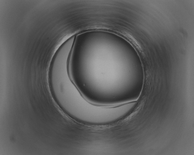 X0000116610893200912241731