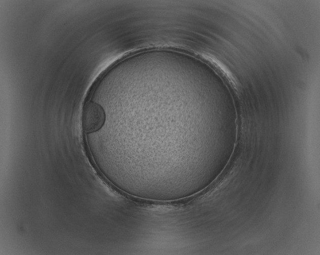 X0000116610894200912241731