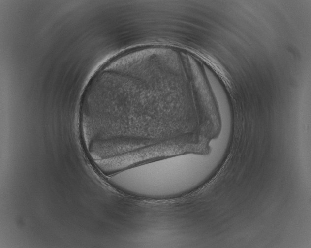 X0000116610896200912241731