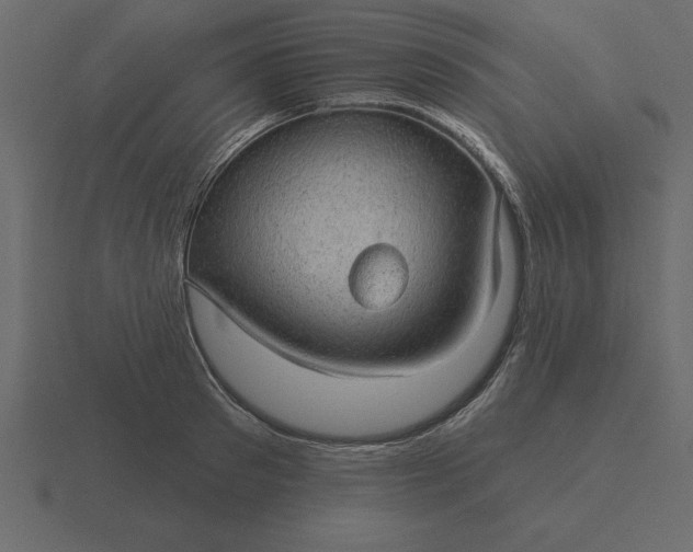 X0000116610897200912241731