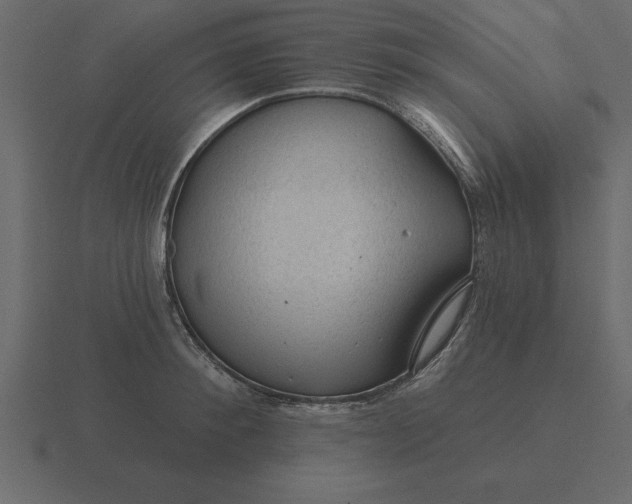 X0000116610900200912241731