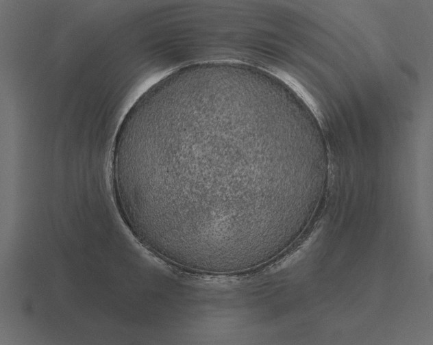 X0000116610901200912241731