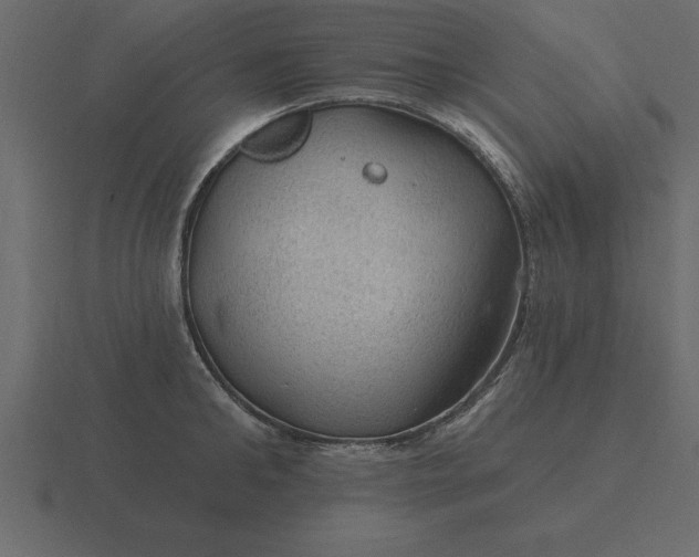 X0000116610902200912241731