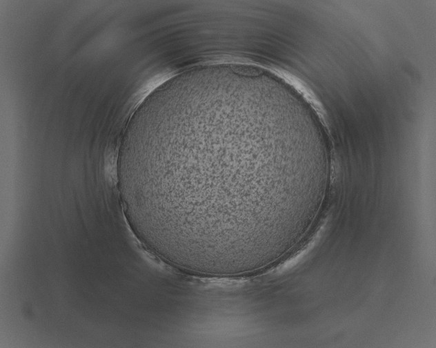 X0000116610905200912241731