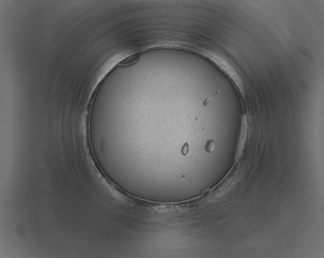 X0000116610906200912241731