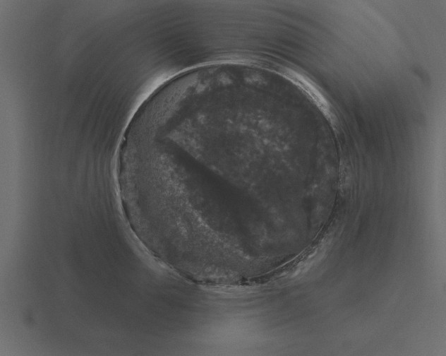 X0000116610907200912241731