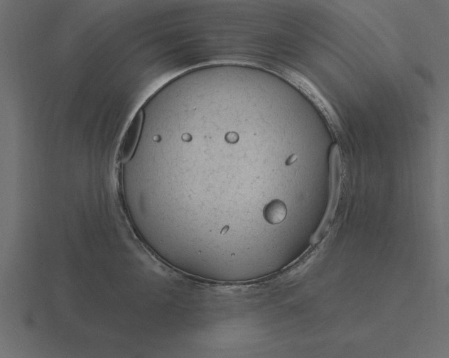 X0000116610908200912241731