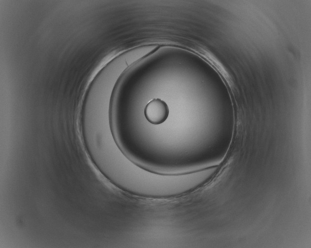 X0000116610909200912241731