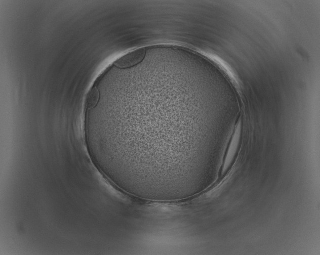 X0000116610910200912241731