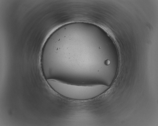 X0000116610912200912241731