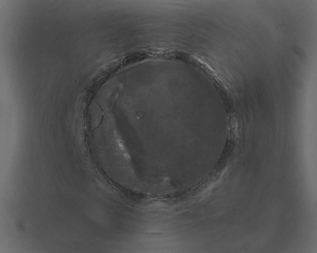 X0000116610913200912241730