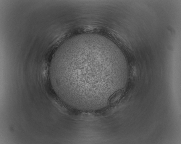 X0000116610914200912241730