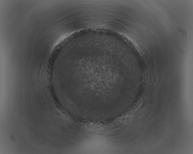 X0000116610919200912241730