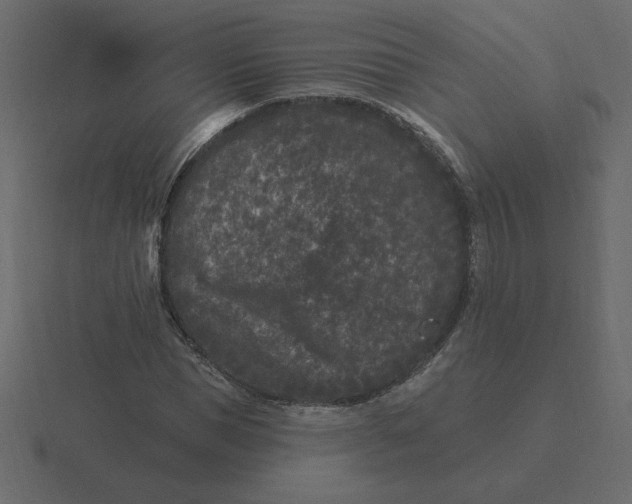 X0000116610921200912241730