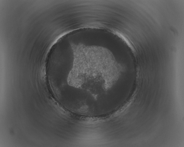 X0000116610923200912241730