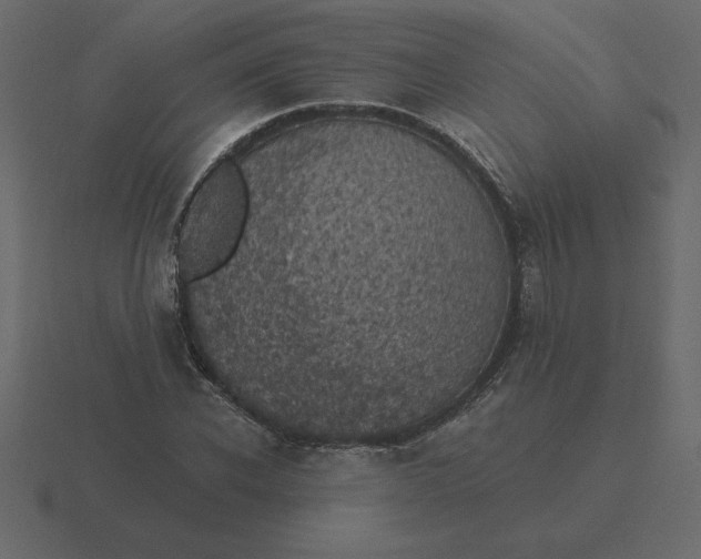 X0000116610926200912241730