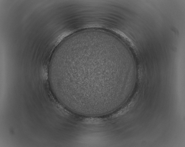 X0000116610929200912241730