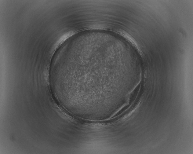 X0000116610930200912241730