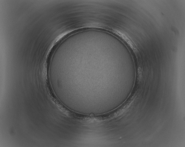 X0000116610931200912241730